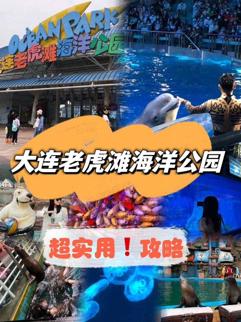 大连老虎滩海洋公园攻略