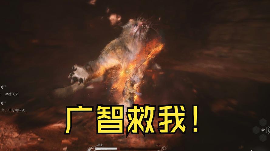 lol小智开场白说的什么