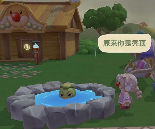 《摩尔庄园》河童介绍_《摩尔庄园》河童是什么