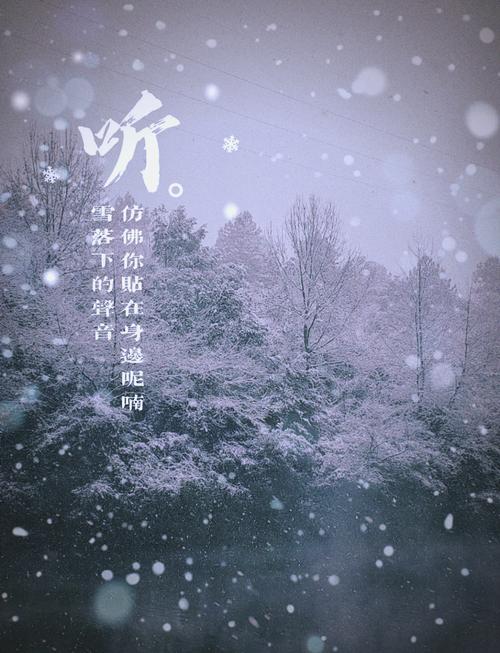 大雪过后为什么会觉得格外寂静
