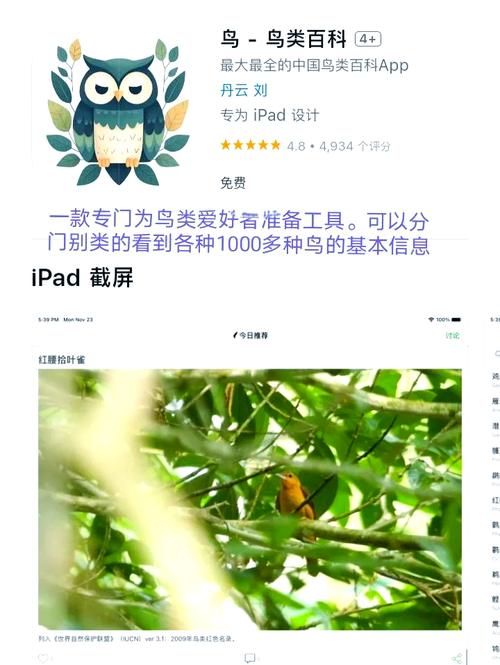 iOS限免、影视APP、scriptable自定义iOS小组件、PhotoAI终身兑换码...