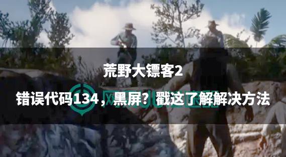 鹰击长空2——无法进入游戏或进入后黑屏退出死机的解决办法
